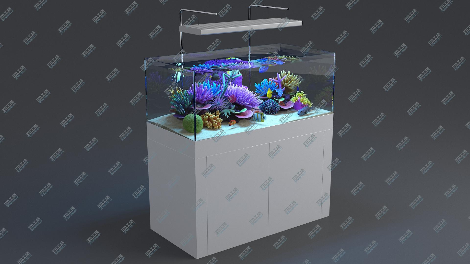 images/goods_img/202104093/3D Aquarium 01 model/2.jpg